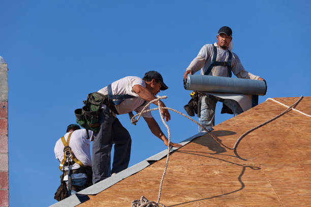 Best Gutter Installation and Roofing  in Fountain Hill, PA